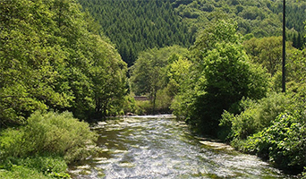 Rondrit Eifel - Kopp