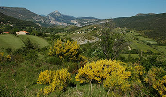 Gorges de Verdon