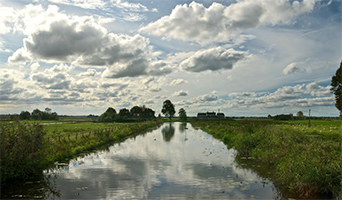 Woerden - Vecht - Amstel - Kerstboom