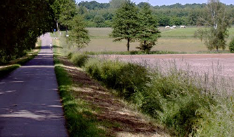 Noord Twente langs de Duitse grens