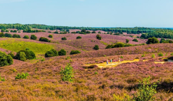 Utrechtse Heuvelrug en de Betuwe