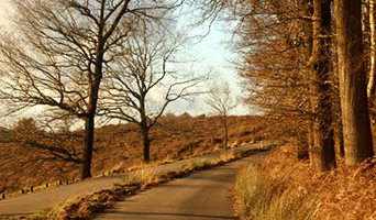 Veluwe en IJssel route