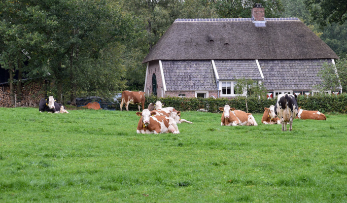 Landgoed Junne. Parel in het vechtdal