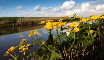 22e Bonifatiustocht 2019 Kort