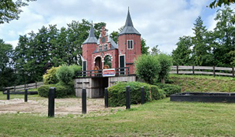 Noordelijke friese Wouden