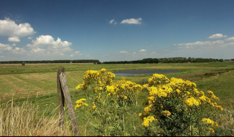 Route naar de molens van Kinderdijk