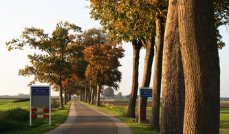 Appelscha via Balloërveld