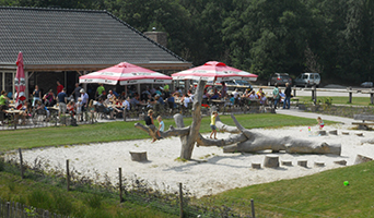 Hollandershoeve Reusel vanuit Sint-Oedenrode