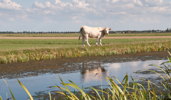 Riviertjes en plassen