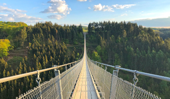 Eifel dag 3 Rondreis langs de Moesel met stop bij geierlay hangbrug Cochem langs de wijnvelden