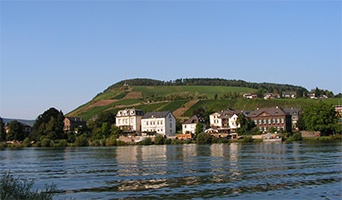 Rondje moezel vanuit eifelhotel malberg