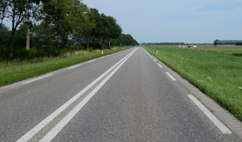 Biesbosch in de rondte