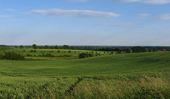 Münsterland - Baumberge