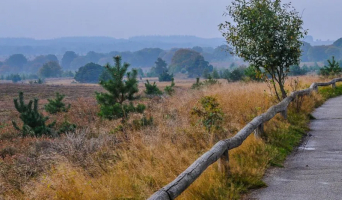 Veluwe Salland Achterhoek