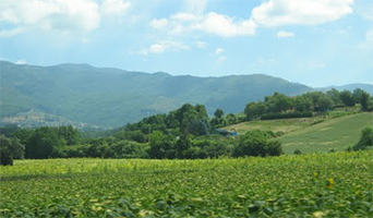 Borgo Val di Taro - Pisa