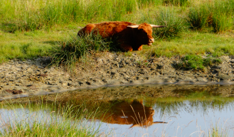 Drenthe en Friesland vanaf Assen