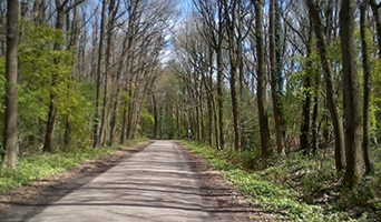 Kleintje midden Drenthe