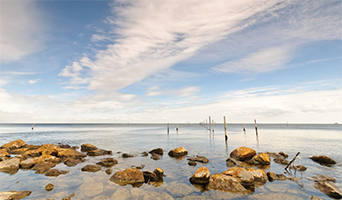 Rondje Markermeer