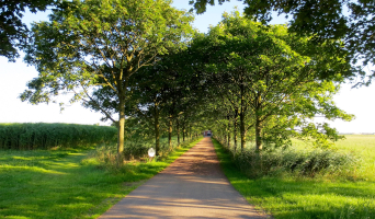 Ver weg in Groningen