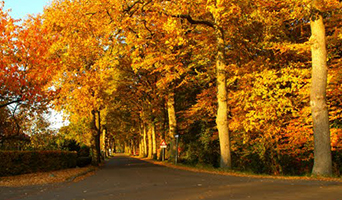 Via Drenthe naar Sallandse Heuvelrug