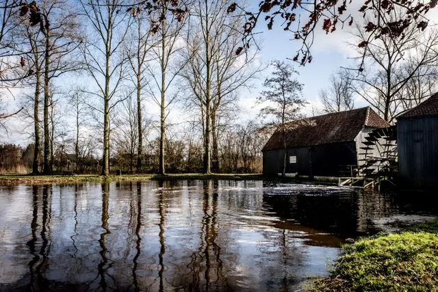 De wereld van Vincent van Gogh