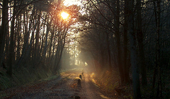 Route Dinkel - Quelle