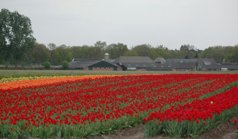 Voor ieder wat wils. Den Ham, Ommen, Vroomshoop, Hellendoorn, Luttenberg Nijverdal