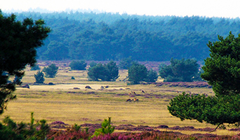 Dwars over de Veluwe 2018