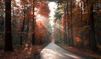 Mooie 'zondag' route 170 km