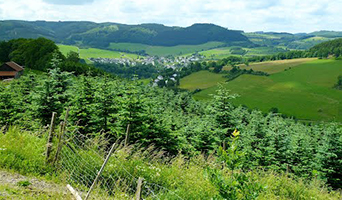 Rothaargebergte - Winterberg