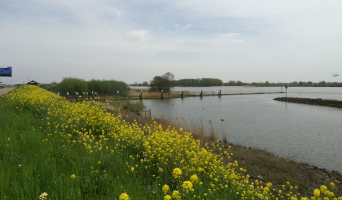 Hoeksche Waard tot Ede en teug