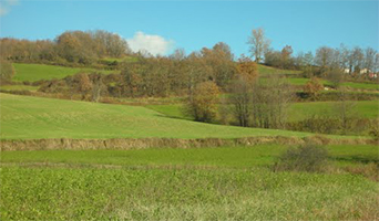 Pettenasco - Borgo Val di Taro