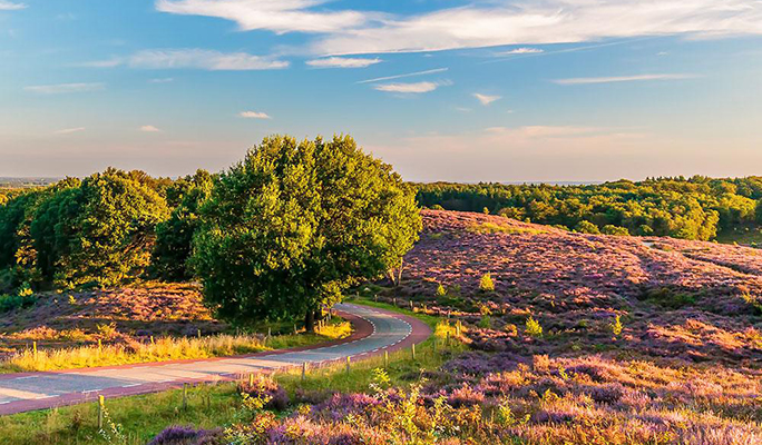 Rondje Veluwe en pond bij Wijhe