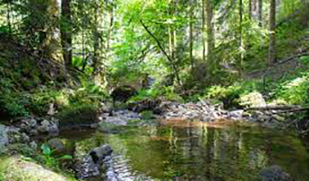 Zuid Duitsland - Donaueschingen, rondrit 2 Donaueschingen - Lauterbach