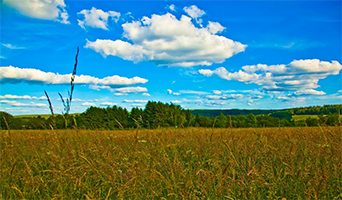 Ardennen rondrit