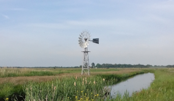 Fryslân & Grins