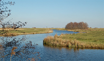 Avondritje Montfoort