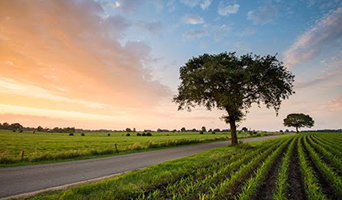 Hoge Veluwe route