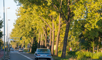 Bodegraven groene hart