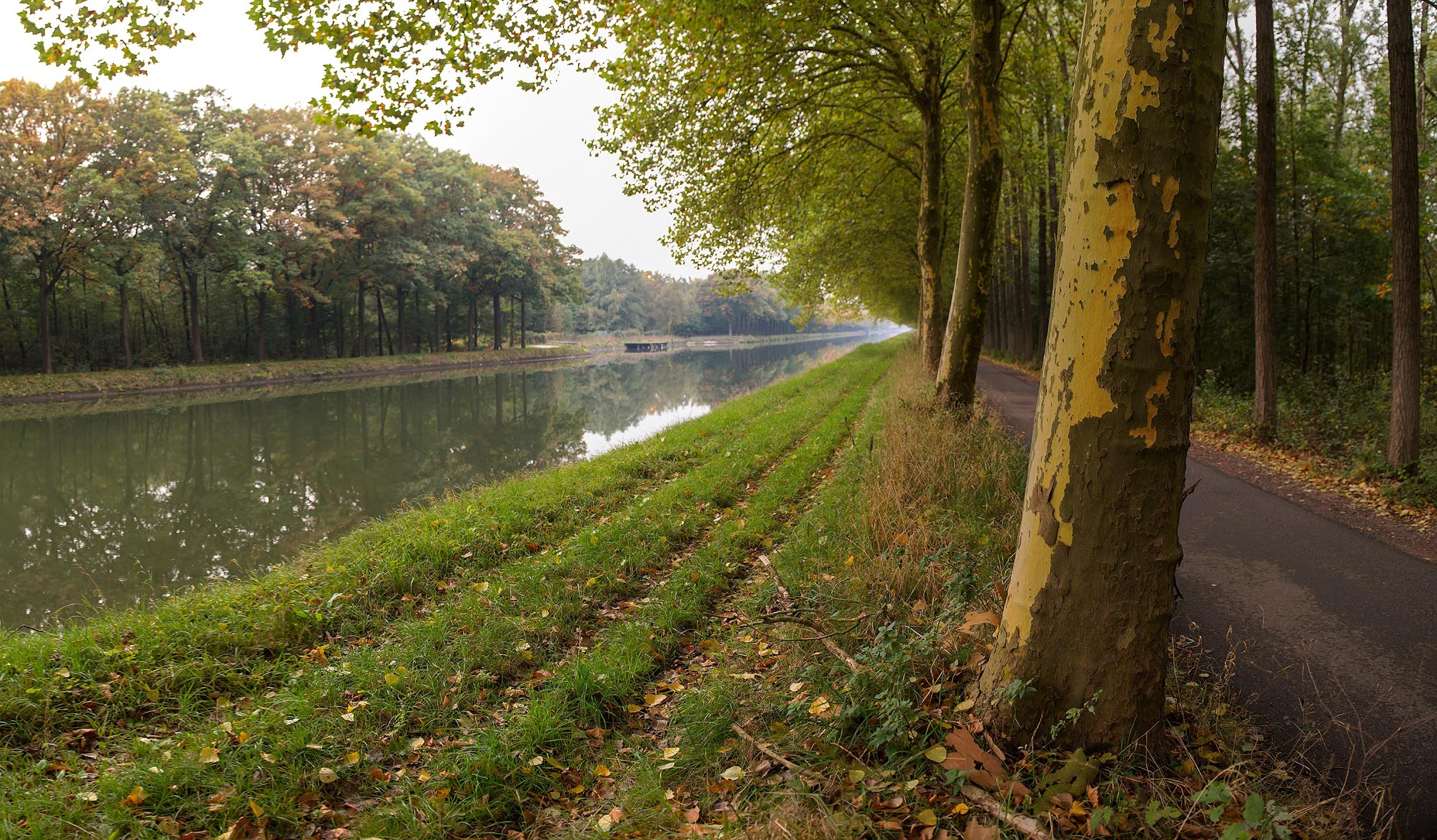 SR - Langs de Maas, Roer en Peel