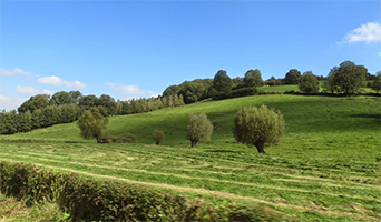 Sint-Oedenrode - Malberg (Eifel)