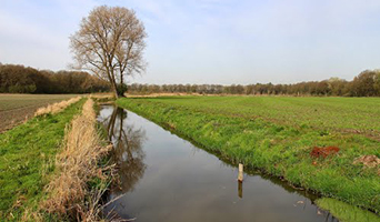 Motorzaak quispel naar Houten