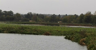 Teutoburgerwald toer