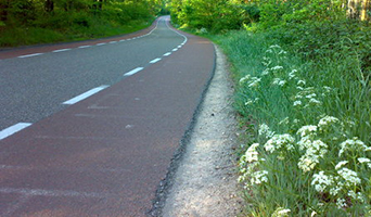 Veluwe en rivier dagtocht