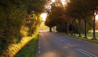 Genieten van het schone Drenthse land