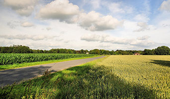 Gelderland Kesteren - Brummen route