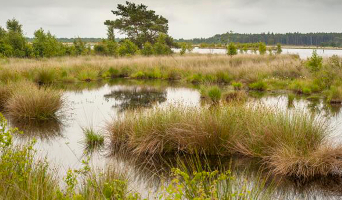 Fryslân en Drinte