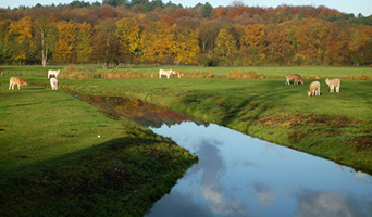 Rijden door Noord-Holland